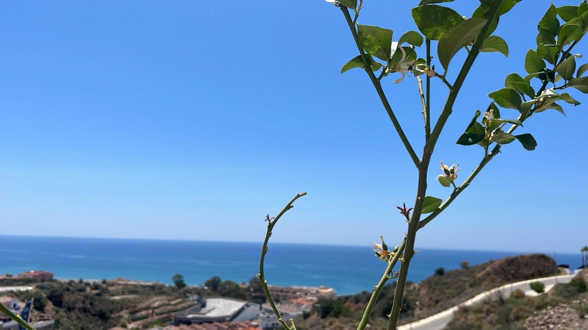 Rincon Idilia Daire Rincón de la Victoria Dış mekan fotoğraf