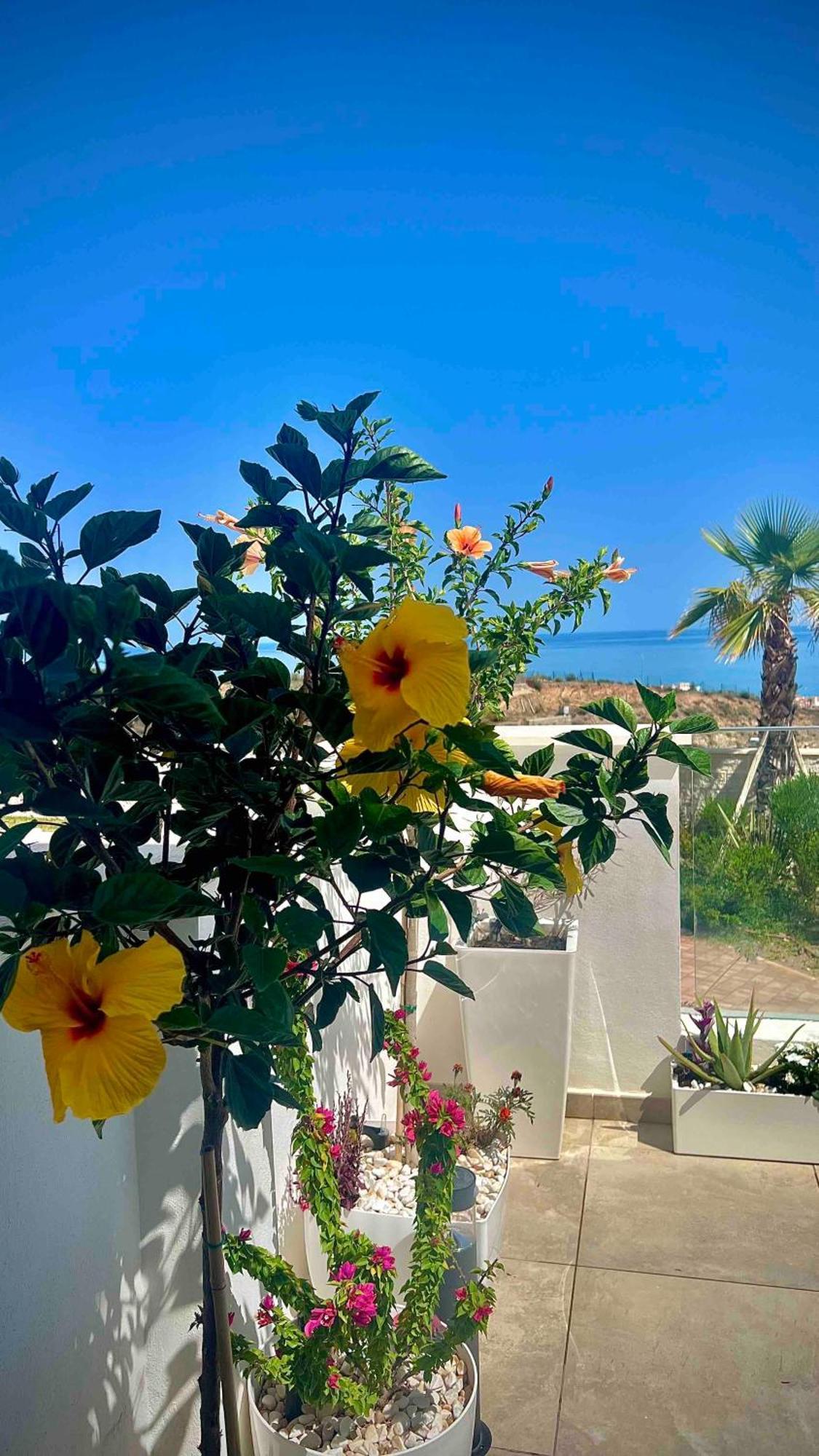Rincon Idilia Daire Rincón de la Victoria Dış mekan fotoğraf